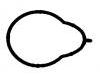 Intake Manifold Gasket:11 61 1 437 384