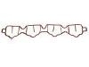 Intake Manifold Gasket:55 568 787